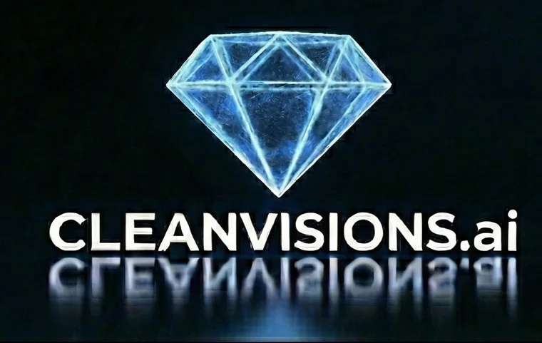 CleanVisions